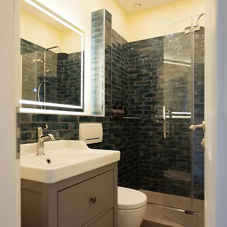 Big Premium With Rhine View Totally New Apartment *