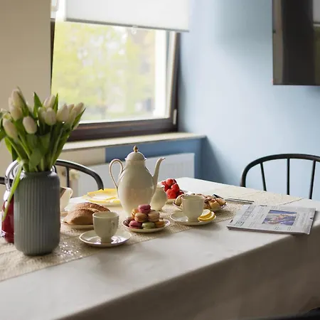 Big Premium With Rhine View Totally New Apartment