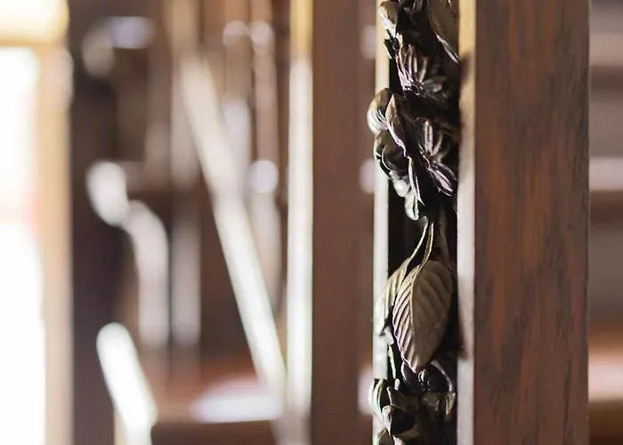 Big Premium With Rhine View, Totally New * 杜伊斯堡