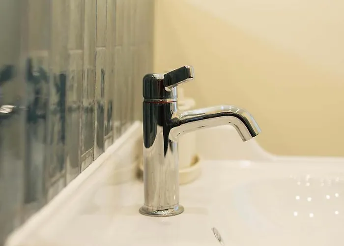 Big Premium With Rhine View, Totally New 公寓 *